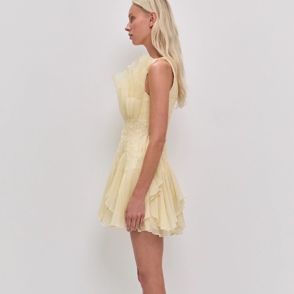 Aje Nisha Mini Dress Mini Dress - Picture 4 of 6